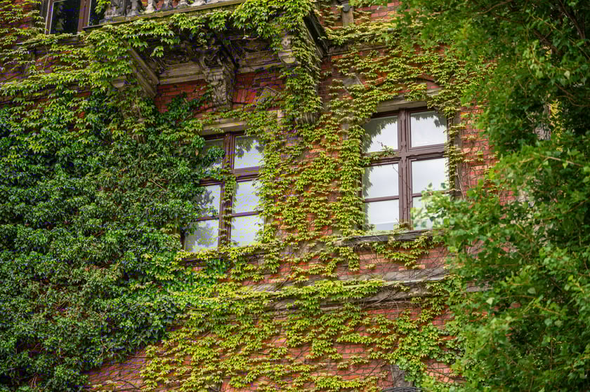 Muzeum Narodowe we Wrocławiu